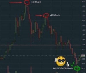 Create meme: fix profit, tradingview chart, Forex