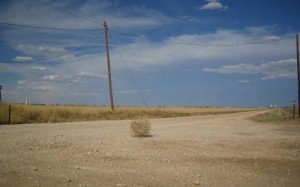 Create meme: a photo of a tumbleweed in the desert, rolling stone on the road, rolling stone emptiness