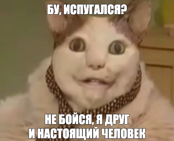 Создать мем "меме котики, кот большой, упоротые котики" - Картинки - Meme-arsena