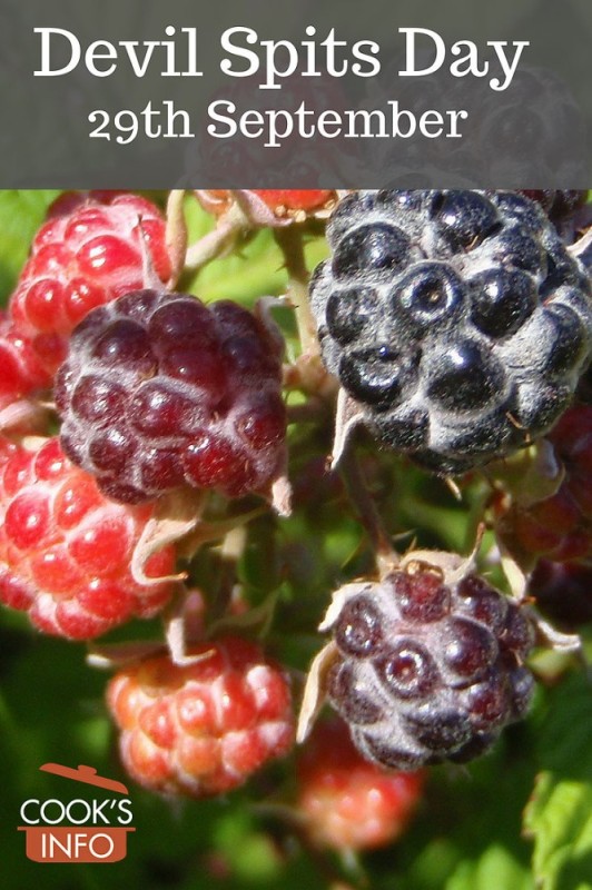 Create meme: blackberry berry, blackberries raspberries, black raspberry