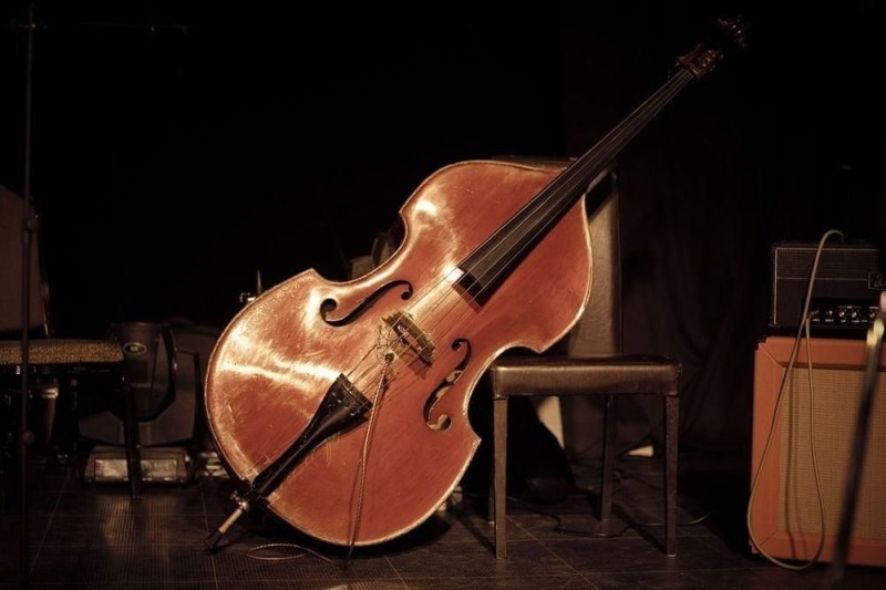 Create meme: Double bass is a musical instrument, Michele Todini double bass, Todini double bass