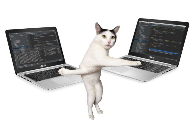 Create meme: cat hacker , a cat with a computer, cat 