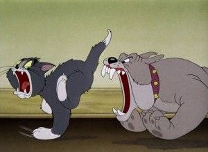 Create meme: the dog from Tom and Jerry, the cat from Tom and Jerry, Tom and Jerry Tom and Jerry