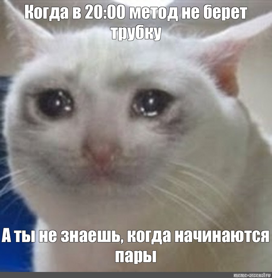 Meme: Когда в 20:00 метод не берет трубку А ты не знаешь, когда