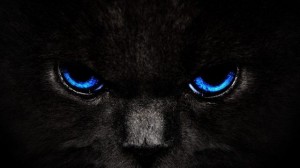 Создать мем: кошка, cat eyes, черный кот с голубыми глазами