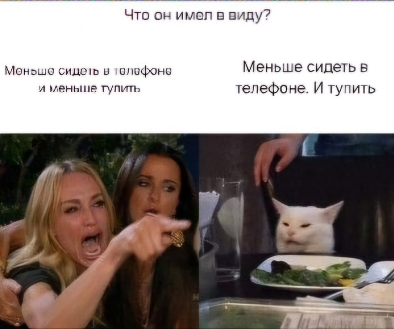 Create meme: MEM woman and the cat, meme with two girls and a cat, memes with a cat and girls