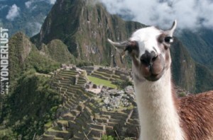 Create meme: peru, animals, Machu Picchu