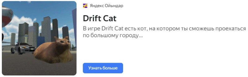 Создать мем: кошка животное, кошка, коты