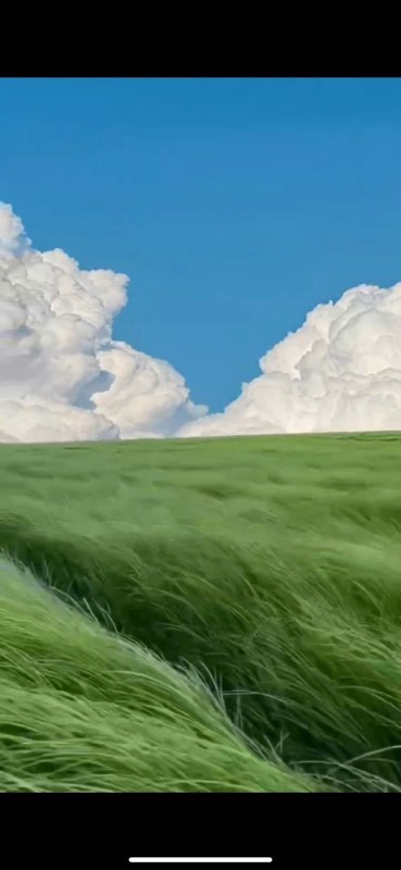 Create meme: grass sky, nature field , sky sun clouds