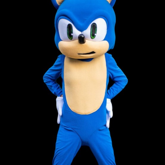 Create meme: sonic's costume, Super Sonic costume, sonic children's costume