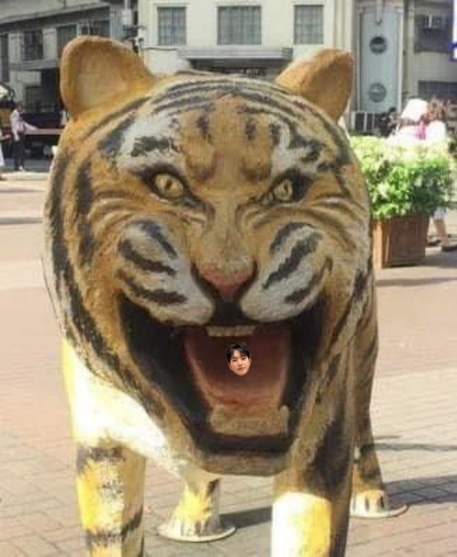 Create meme: thai tiger, cat , the Amur tiger 