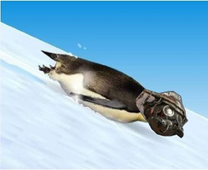 Create meme: to ride the roller coaster, Vladimir Usoltsev and we listen to the penguin, penguin