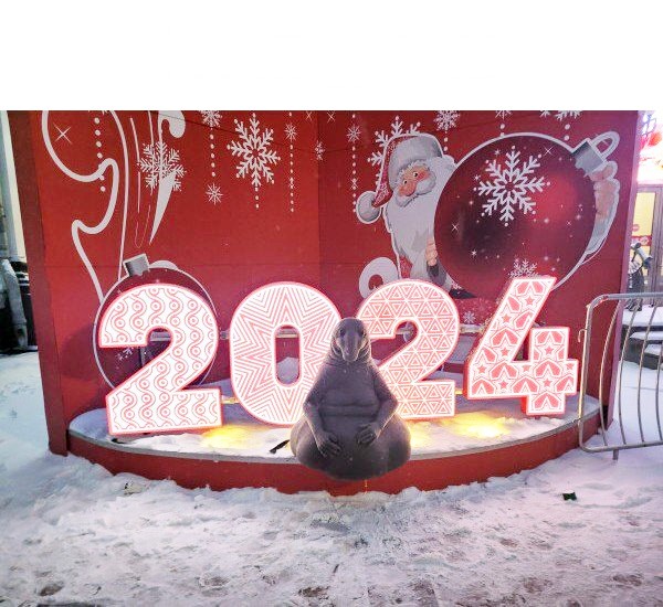 Create meme: New Year's art objects, Syktyvkar stefanovskaya square new year 2019, Christmas