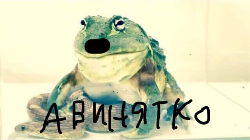 Create meme: frog frog, big frog, frog 