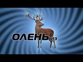 Создать мем: юджин сагаз, elk, deer