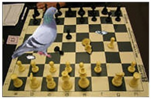 Create meme: to play chess, play chess, tournament