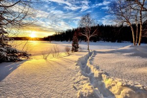 Create meme: winter sunset, winter nature, winter landscape