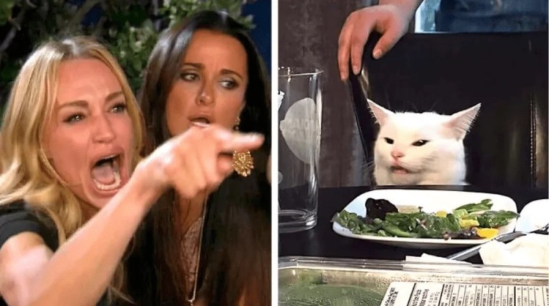 Создать мем: мемы с котами, мем с котом и двумя женщинами, женщина и кот мем