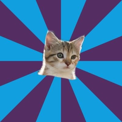 Create Meme Grumpy Cat Kitten Cat And Mouse Pictures Meme Arsenal Com