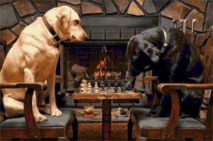 Создать мем: собака у камина картинки, собака, собака и шахматы