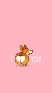 Create meme: Corgi