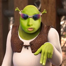 Create meme: characters of Shrek, Shrek , Shrek Shrek