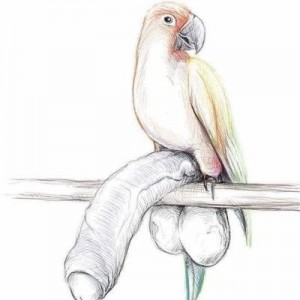 Создать мем: птица легкий рисунок, карандашные рисунки, иллюстрация