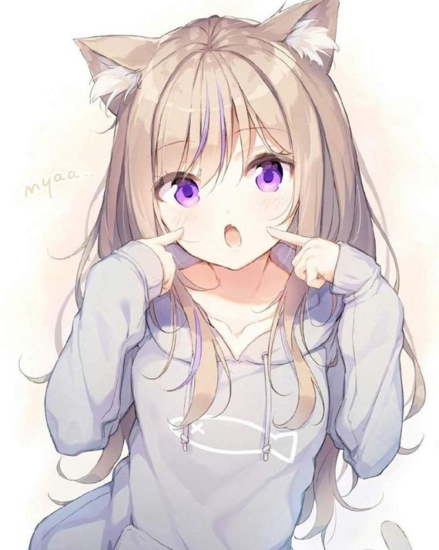 Create meme: anime neko girls, anime neko, anime Tanka