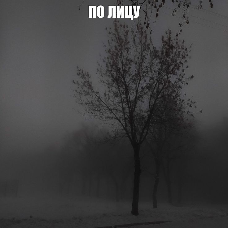 Create meme: the trick , dark photos, gloomy landscapes