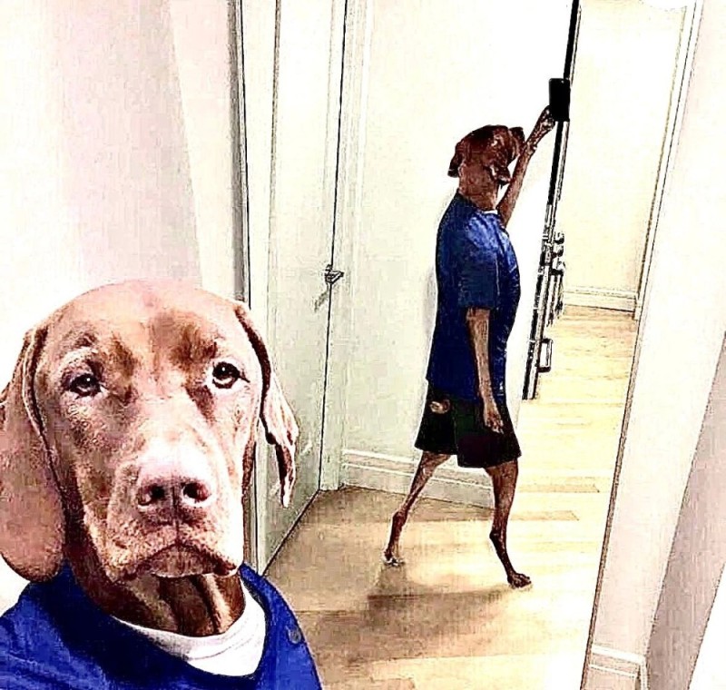 Create meme: selfie with a dog, selfie , the dog survived