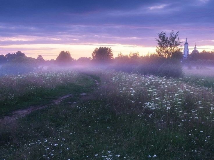 Create meme: dawn morning, morning landscape, morning fog 