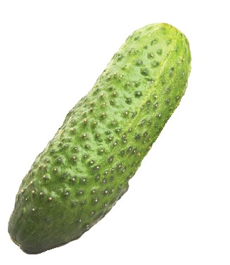 Create meme: cucumber , vegetable cucumber, a small cucumber