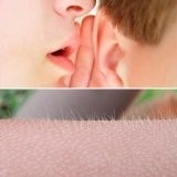 Create meme: goose bumps, whispers, goosebumps meme