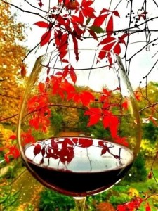 Создать мем: осень, красное вино осенью, красное вино осень