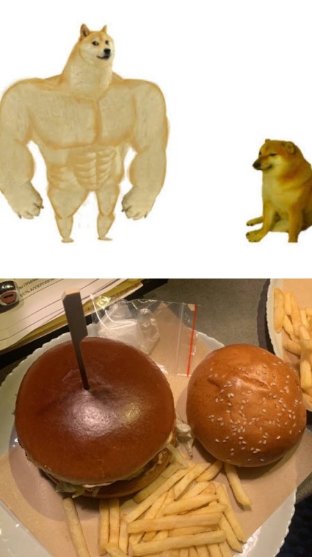 Create meme: meme the jock cat, doge meme Jock, inflated dog