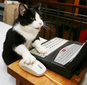 Create meme: the cat gamer, cat, the cat at the computer