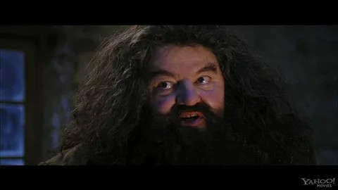 Create meme: Hagrid Harry Potter, Hagrid you're a wizard Harry, a frame from the movie