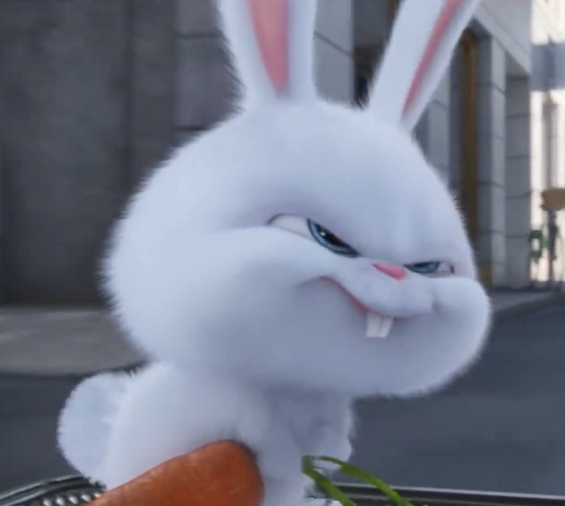 Создать мем: злой кролик с морковкой, злобный зайчик, злой кролик