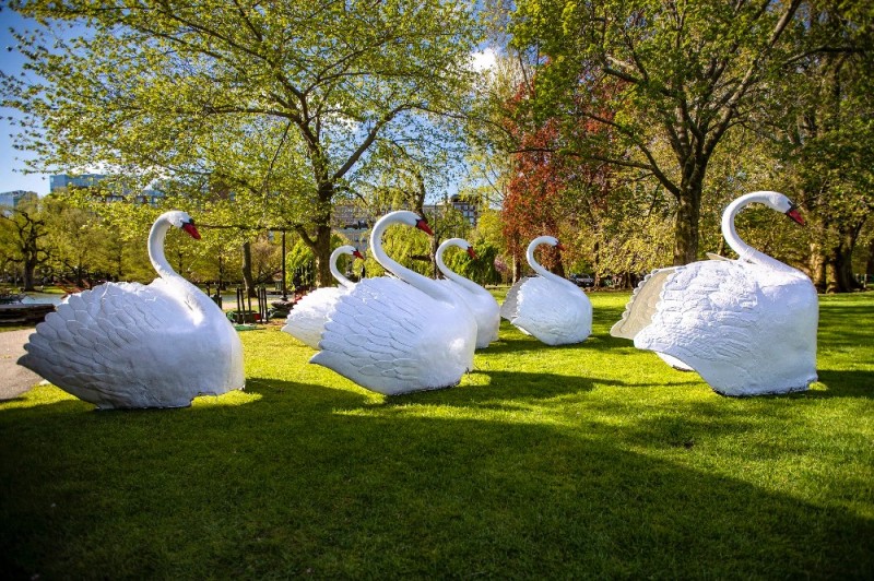 Create meme: swan figures for the garden, garden figure "Phoebe's swan", swan with your own hands for the garden