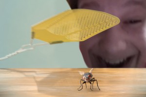 Создать мем: паучок, муха, робот муха