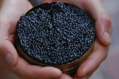 Create meme: caviar is black, real black caviar, smuggling of black caviar