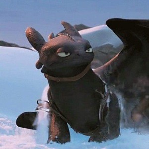 Create meme: dragon toothless, toothless the night fury