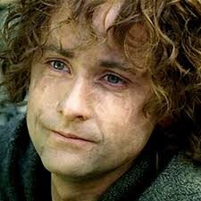 Create meme: nofor the Lord of the rings photo, Pippin tuk smile, the Lord of the rings Peregrin took