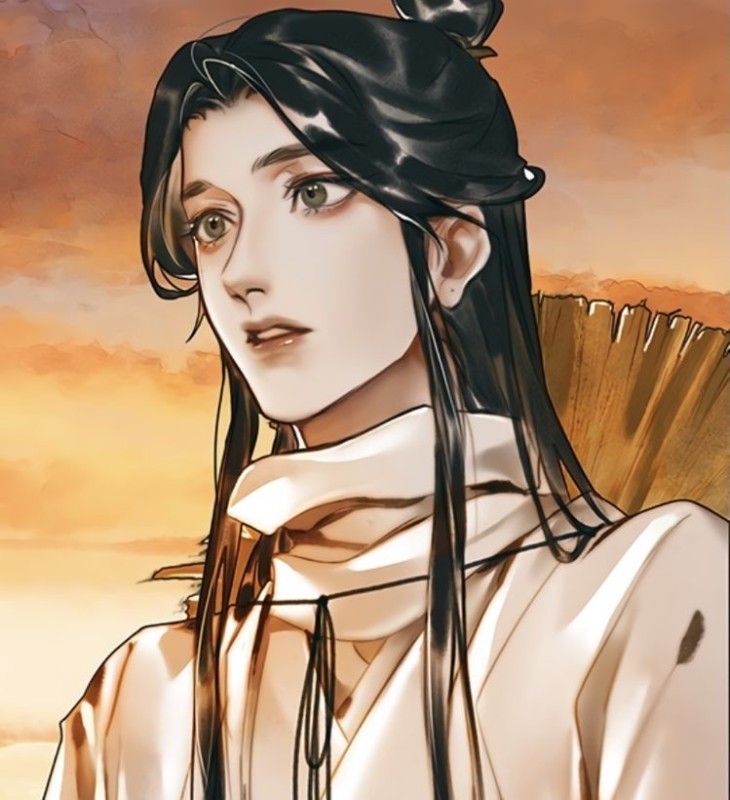 Create meme: xie lian icon, manga anime, Crown prince of xianle