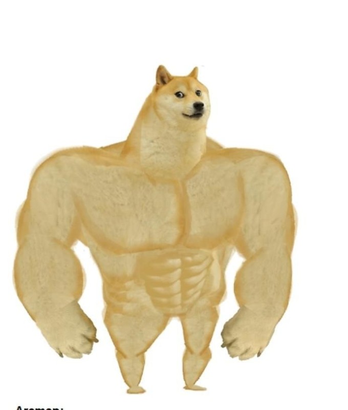 Create meme: the pumped-up dog from memes, meme the jock dog, shiba inu jock