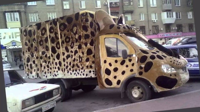 Create meme: big gazelle, leopard car, unusual gazelles