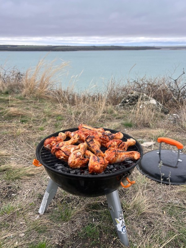 Create meme: barbecue by the sea, nature kebabs, barbecue at the sea