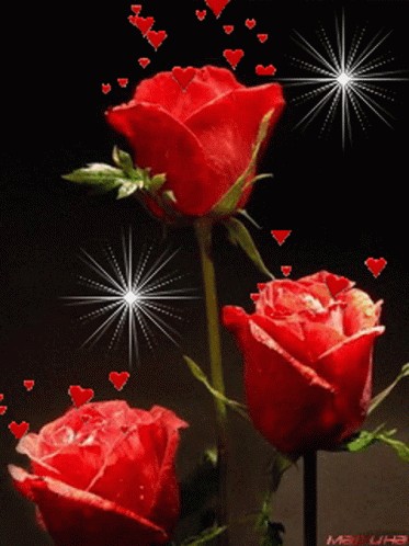 Create meme: postcard with roses, three roses, beautiful roses 