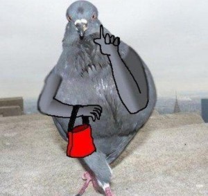 Create meme: dove Jora, pigeon meme, dove