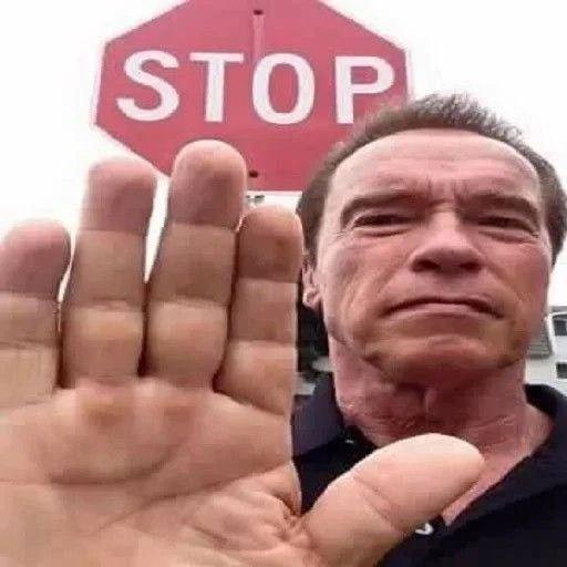 Create meme: Stop the meme, meme Schwarzenegger , arnold schwarzenegger look a like